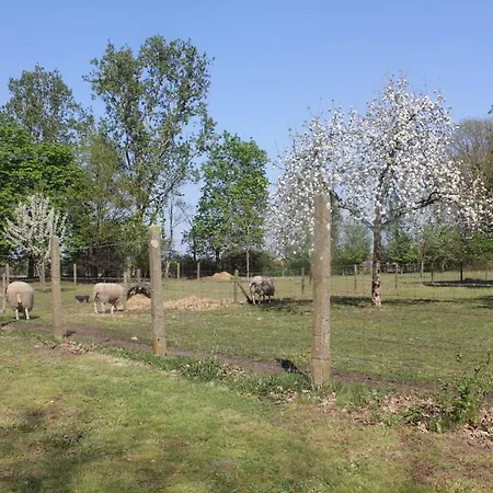 Bed & Breakfast Beej Potters