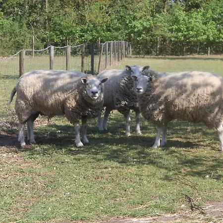 Bed & Breakfast Beej Potters Weert