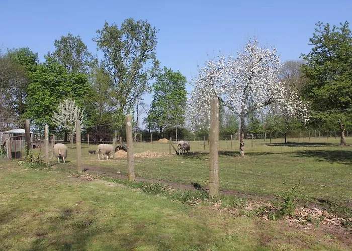 Alojamento de Acomodação e Pequeno-almoço Beej Potters