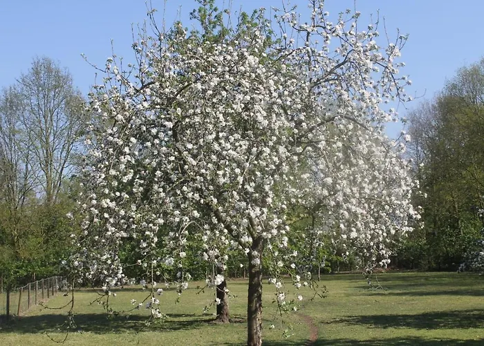 Alojamento de Acomodação e Pequeno-almoço Beej Potters