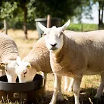 Beej Potters ベッド・アンド・ブレックファスト