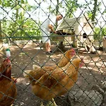 ベッド・アンド・ブレックファスト Beej Potters ヴェールト