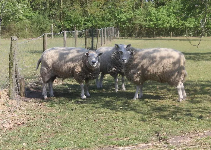 Frühstückspension Beej Potters Weert