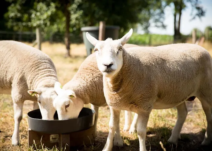 Beej Potters Frühstückspension