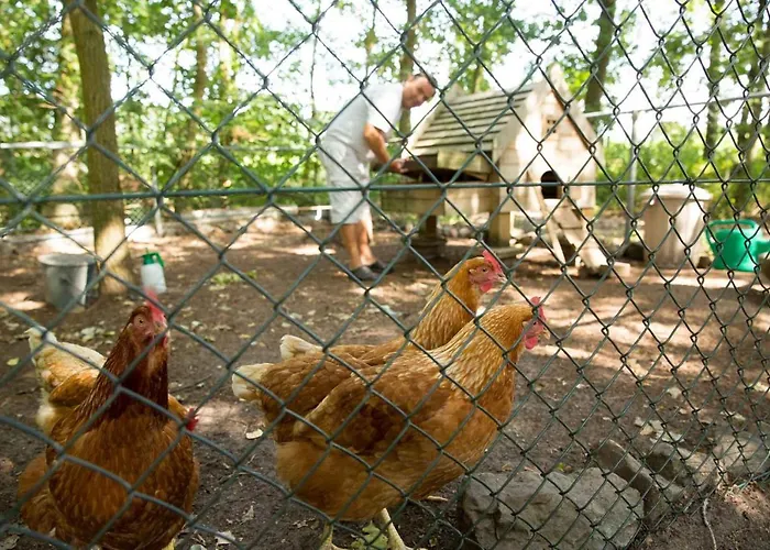 Frühstückspension Beej Potters Weert